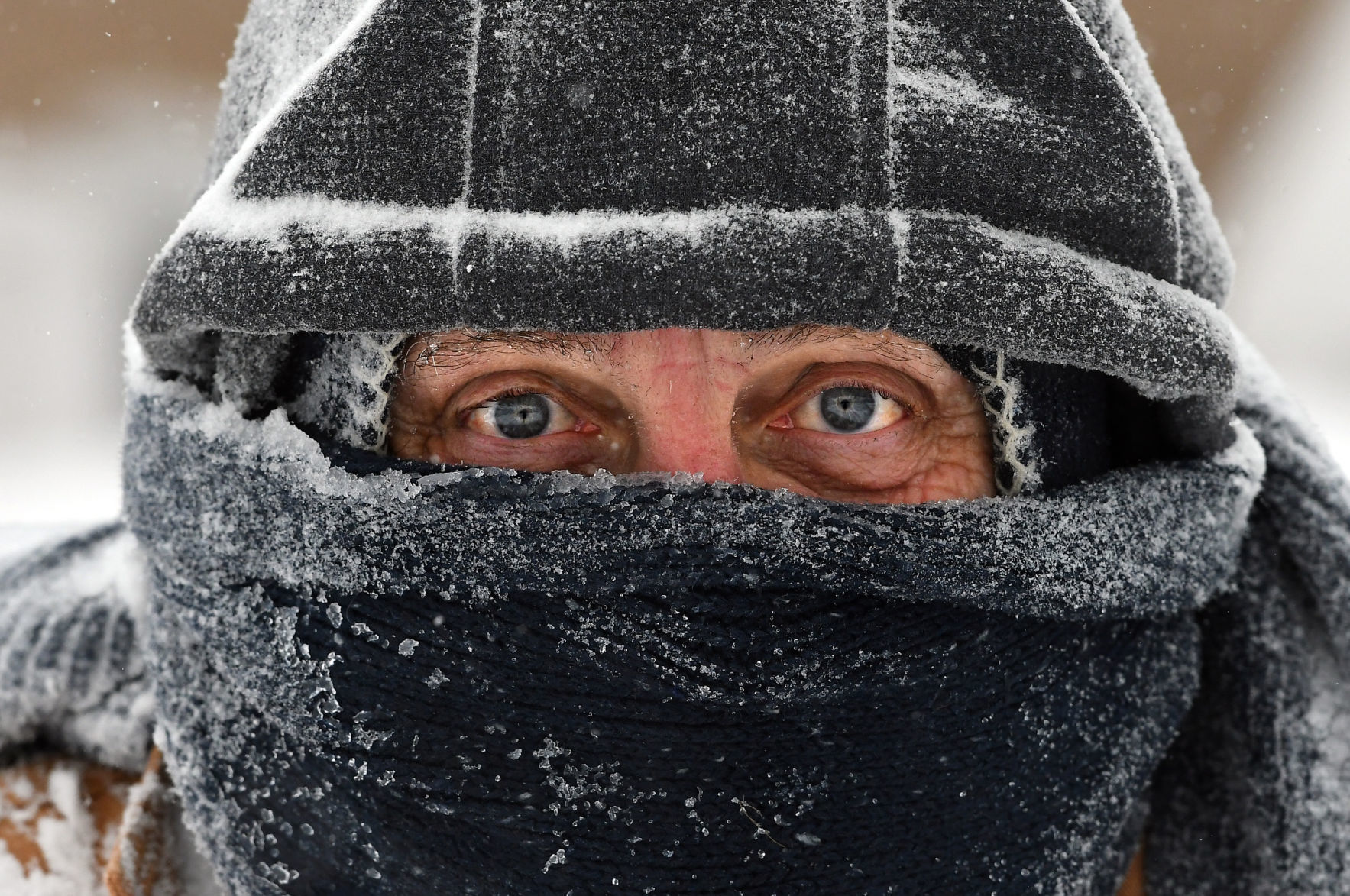 Winter Storm 1.JPG